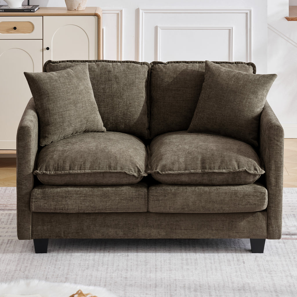 51" Cloud Loveseat Sofa, Modern 2-Seater Couch with Deep Seat, Soft Chenille Upholstery & 2 Throw Pillows
